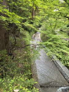 北野天満宮の庭の写真