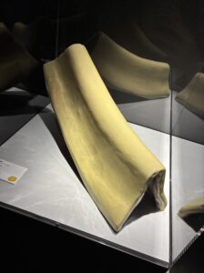 ガウディーデザインの瓦の写真