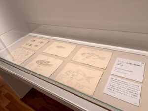 高島野十郎てんでの魚のデッサン写真