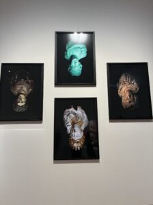 やなぎみわーさんの作品の写真